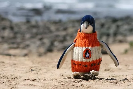 pingüino abrigado