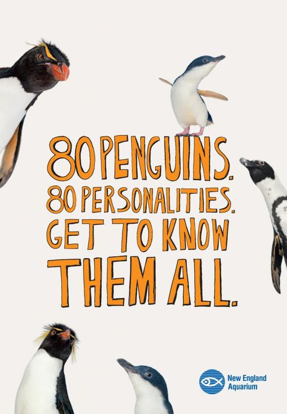 cartel diseño pingüinos