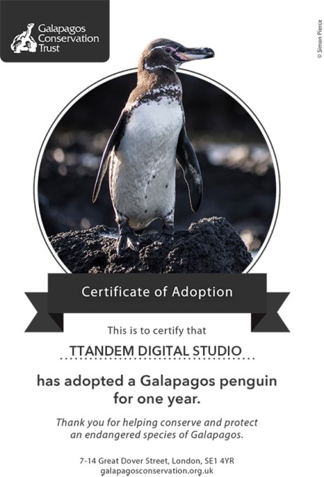 centificado_adopcion_pinguino