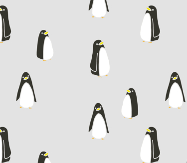 Los pingüinos nos dan una lección magistral de adaptación y aprendizaje