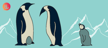 Seamos como los pingüinos… igualitarios y conciliadores
