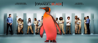 Penguinmania en «The orange is the new black»
